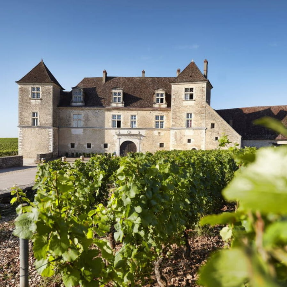 Coffret Cadeau CitroĂ«n MĂHARI âą Escapade libre en duo + Visite du Clos Vougeot