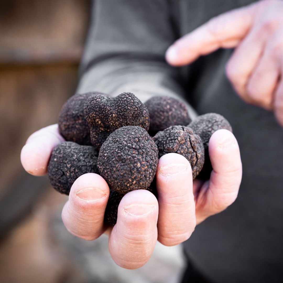 Découverte de la Truffe • 2 personnes